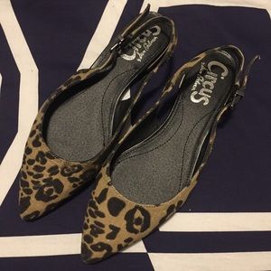 Sam Edelman circus leopard flats